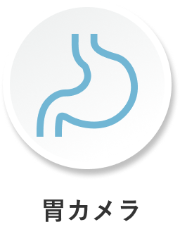 胃カメラ